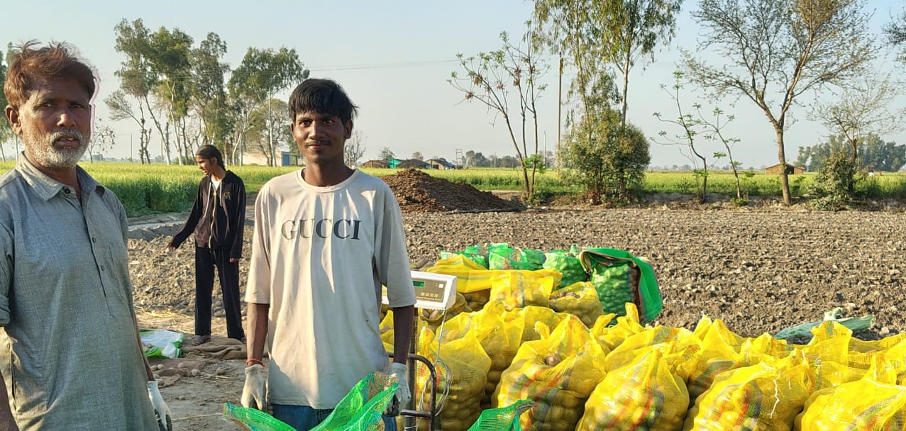 Local service provider working